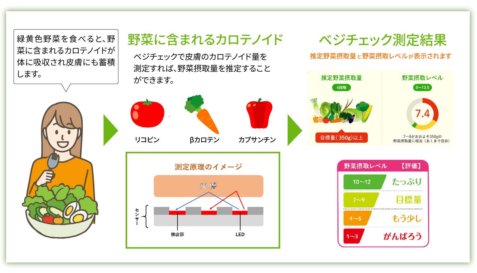 vegecheckimage03-1 vegecheckimage03-1
