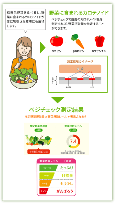 vegecheckimage02 vegecheckimage02