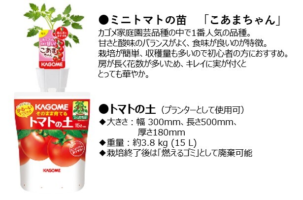 野菜栽培体験プログラム｜サービス｜カゴメの健康サービス事業