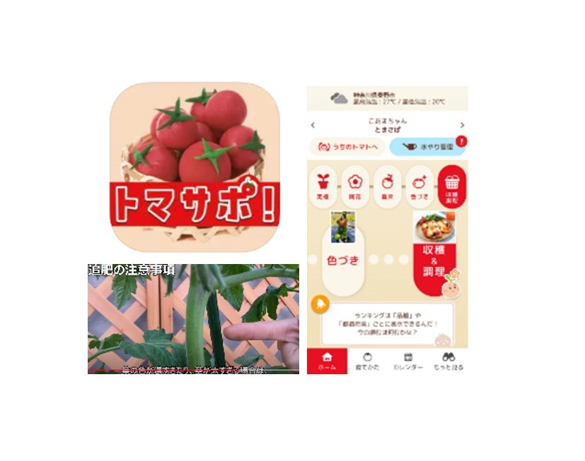 アグリセラピー_トマサポ