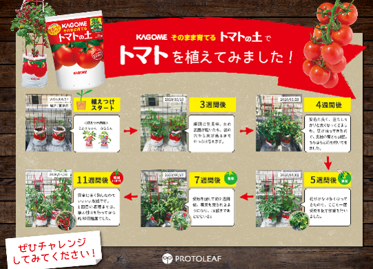 アグリセラピー_事業所掲示イメ―ジ